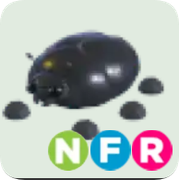 Giant Black Scarab ▪️NFR🐸Ultra-Rare🚀Pets⚡24/7 Online🚀