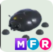 Giant Black Scarab ▪️MFR🐸Ultra-Rare🚀Pets⚡24/7 Online🚀