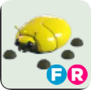 Giant Gold Scarab ▪️FR🐸Legendary🚀Pets⚡24/7 Online🚀