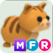 Ginger Cat ▪️MFR🐸Ultra-Rare🚀Pets⚡24/7 Online🚀