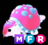 Glyptodon ▪️MFR🚀Uncommon🚀Pets⚡24/7 Online🚀