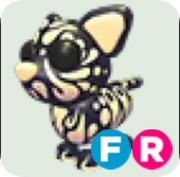 Golden Jaguar ▪️FR🚀Ultra-Rare🚀Pets⚡24/7 Online🚀
