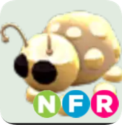 Golden Ladybug ▪️NFR🚀Legendary🚀Pets⚡24/7 Online🚀
