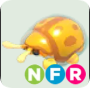 Golden Tortoise Beetle ▪️NFR🚀Legendary🚀Pets⚡24/7 Online🚀