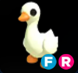 Goose ▪️FR🚀Rare🚀Pets⚡24/7 Online🚀