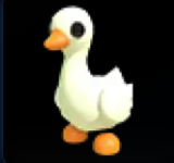 Goose ▪️Common🚀Rare🚀Pets⚡24/7 Online🚀