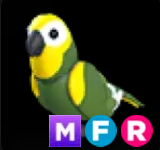 Green Amazon ▪️MFR🚀Ultra-Rare🚀Pets⚡24/7 Online🚀