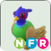 Green-Chested Pheasant ▪️NFR🚀Legendary🚀Pets⚡24/7 Online🚀