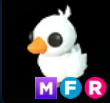 Happy Duckling ▪️MFR🚀Rare🚀Pets⚡24/7 Online🚀
