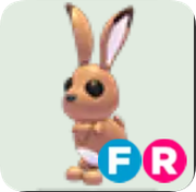 Hare ▪️FR🚀Rare🚀Pets⚡24/7 Online🚀
