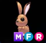 Hare ▪️MFR🚀Rare🚀Pets⚡24/7 Online🚀