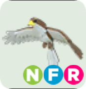 Hawk ▪️NFR🚀Legendary🚀Pets⚡24/7 Online🚀