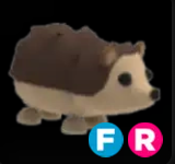 Hedgehog ▪️FR🚀Ultra-Rare🚀Pets⚡24/7 Online🚀