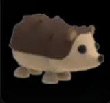 Hedgehog ▪️Common🚀Ultra-Rare🚀Pets⚡24/7 Online🚀