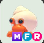 Hermit Crab ▪️MFR🚀Uncommon🚀Pets⚡24/7 Online🚀