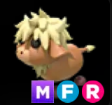 Highland Cow ▪️MFR🚀Ultra-Rare🚀Pets⚡24/7 Online🚀