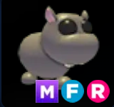Hippo ▪️MFR🚀Rare🚀Pets⚡24/7 Online🚀