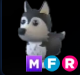 Husky ▪️MFR🚀Rare🚀Pets⚡24/7 Online🚀