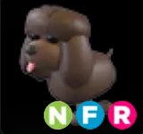 Irish Water Spaniel ▪️NFR🚀Ultra-Rare🚀Pets⚡24/7 Online🚀