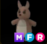 Kangaroo ▪️MFR🚀Legendary🚀Pets⚡24/7 Online🚀