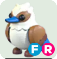 Kookaburra ▪️FR🚀Ultra-Rare🚀Pets⚡24/7 Online🚀