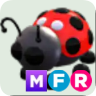 Ladybug ▪️MFR🚀Ultra-Rare🚀Pets⚡24/7 Online🚀