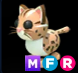 Leopard Cat ▪️MFR🚀Rare🚀Pets⚡24/7 Online🚀