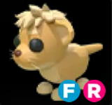 Lion Cub ▪️FR🚀Ultra-Rare🚀Pets⚡24/7 Online🚀