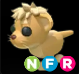 Lion Cub ▪️NFR🚀Ultra-Rare🚀Pets⚡24/7 Online🚀