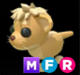 Lion Cub âŠïļMFRðUltra-RareðPetsâĄ24/7 Onlineð