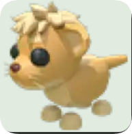 Lion Cub ▪️Common🚀Ultra-Rare🚀Pets⚡24/7 Online🚀
