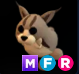 Lynx ▪️MFR🚀Rare🚀Pets⚡24/7 Online🚀