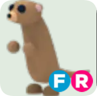 Meerkat ▪️FR🚀Uncommon🚀Pets⚡24/7 Online🚀