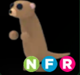 Meerkat ▪️NFR🚀Uncommon🚀Pets⚡24/7 Online🚀