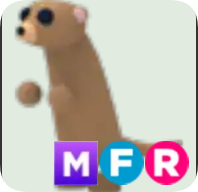 Meerkat ▪️MFR🚀Uncommon🚀Pets⚡24/7 Online🚀