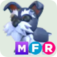 Mini Schnauzer ▪️MFR🚀Ultra-Rare🚀Pets⚡24/7 Online🚀
