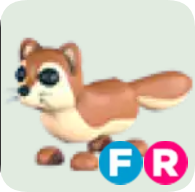 Mongoose ▪️FR🚀Common🚀Pets⚡24/7 Online🚀