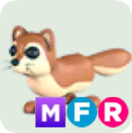 Mongoose ▪️MFR🚀Common🚀Pets⚡24/7 Online🚀