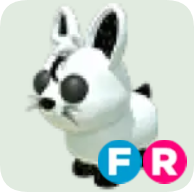Moon Rabbit ▪️FR🚀Rare🚀Pets⚡24/7 Online🚀