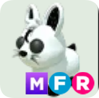 Moon Rabbit ▪️MFR🚀Rare🚀Pets⚡24/7 Online🚀