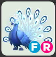 Moonbeam Peacock ▪️FR🚀Legendary🚀Pets⚡24/7 Online🚀