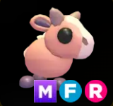 Moose Calf ▪️MFR🚀Legendary🚀Pets⚡24/7 Online🚀