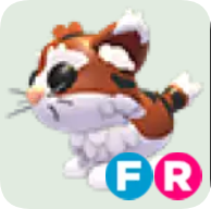 Munchkin Cat ▪️FR🚀Rare🚀Pets⚡24/7 Online🚀