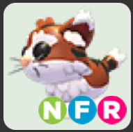 Munchkin Cat ▪️NFR🚀Rare🚀Pets⚡24/7 Online🚀