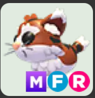 Munchkin Cat ▪️MFR🚀Rare🚀Pets⚡24/7 Online🚀