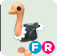 Ostrich ▪️FR🚀Rare🚀Pets⚡24/7 Online🚀