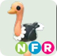 Ostrich ▪️NFR🚀Rare🚀Pets⚡24/7 Online🚀