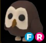 Owl ▪️FR🚀Legendary🚀Pets⚡24/7 Online🚀