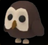 Owl ▪️Common🚀Legendary🚀Pets⚡24/7 Online🚀