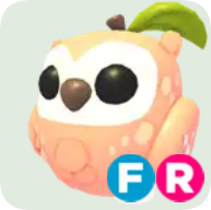 Peach Owl ▪️FR🚀Legendary🚀Pets⚡24/7 Online🚀